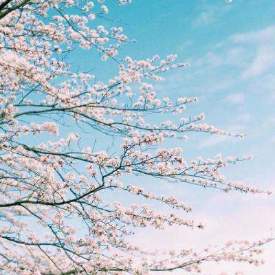 美国拖车无敌版